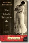 Buy *The Space Between Us* by Thrity Umrigar